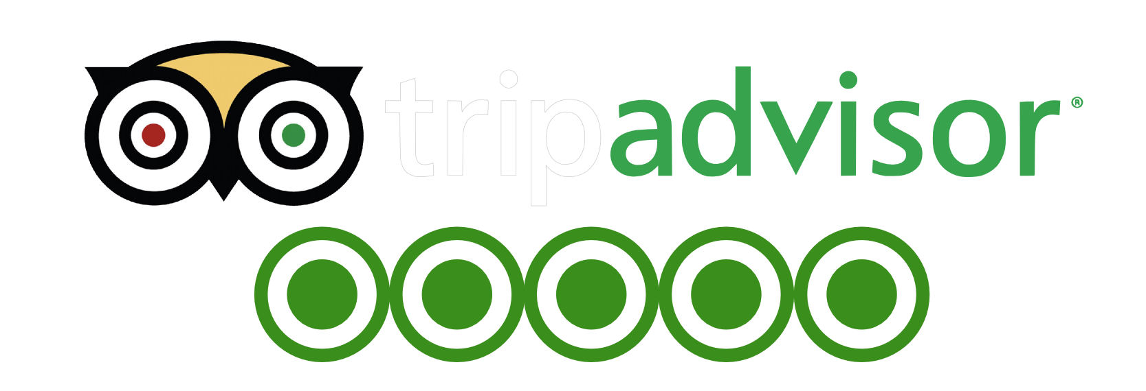 Tripadvisor Logo Leisure Italy Private Excursions And Custom Tours 15